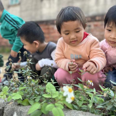 记录红红旭幼儿园快乐生活——红艳艳中班三月幼儿园生活