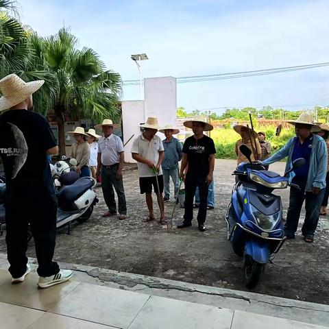 中和镇长村村委会开展蚊媒传染病防控排查工作