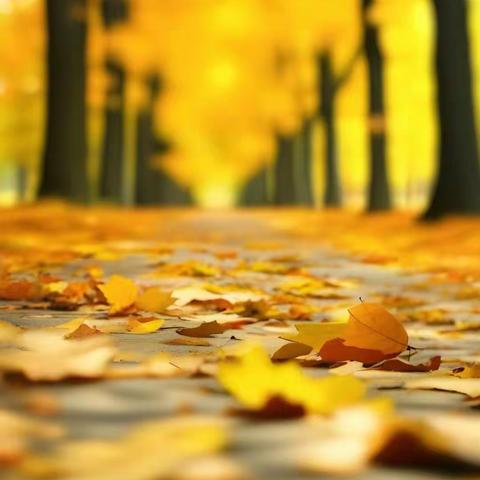 秋风迎诗意   教研绽芳华———洪山区初中语文学科教师素养提升培训