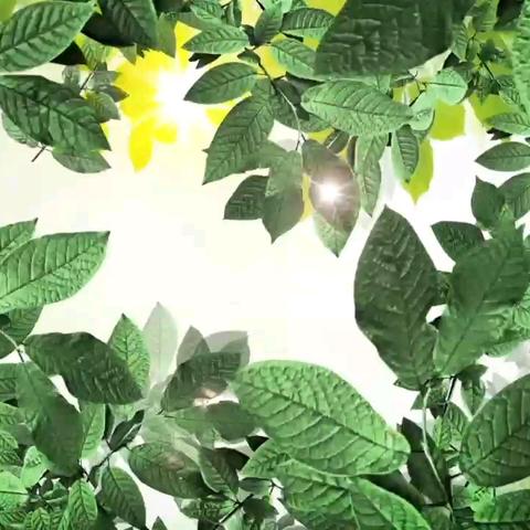 “畅行潍坊 礼让斑马” ——九（9）班家长校门口护岗义工活动