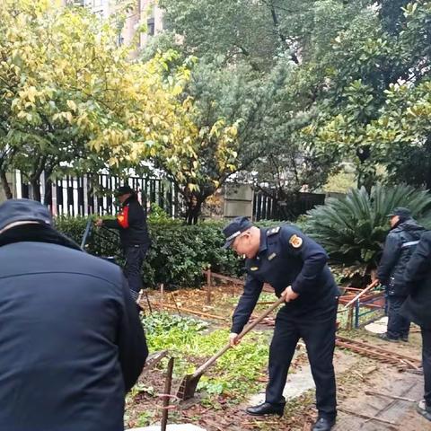 “毁绿种菜”惹人愁，社区环境共维护