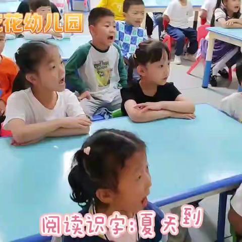 春田花花幼儿园五月份小日常