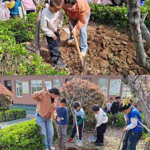 绿色点亮生活  健康护佑生命——东积善小学综合实践活动