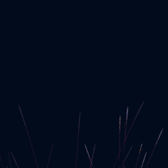 中鸡镇豫东地锅鸡连锁店9周年庆