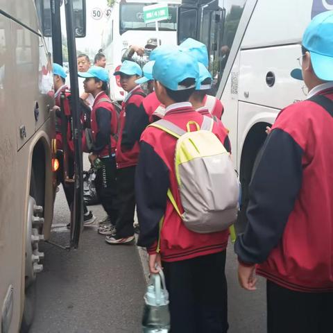 走进动物世界，探索自然奥秘--洛阳市洛龙区第一实验小学学府街分校四年级栾川竹海野生动物园研学之旅