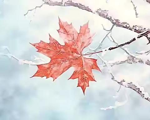 小雪节气