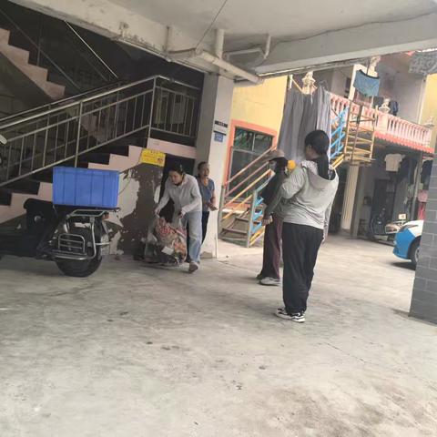 【丁孝文】吉阳区落笔村村委会日常工作简报（2025.4.11）