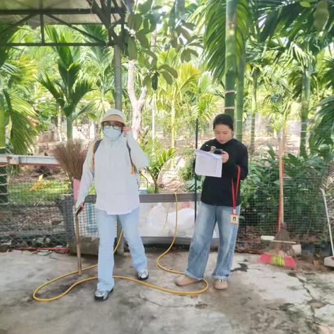 【丁孝文】吉阳区落笔村村委会日常工作简报（2025.5.16）