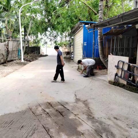 【丁孝文】吉阳区落笔村村委会日常工作简报（2025.6.20）