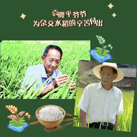 春江天镜幼儿园“童”行节约 不负“食”光 光盘在行动，不做“必剩客”