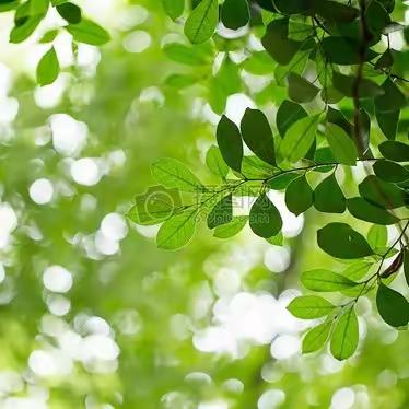 润物化雨无声，静待花满枝头