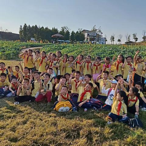 风景在路上，研学促成长——咸宁市第六小学二年级研学活动