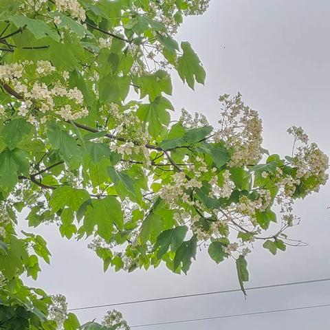 优秀作业展风采，榜样引领促成长