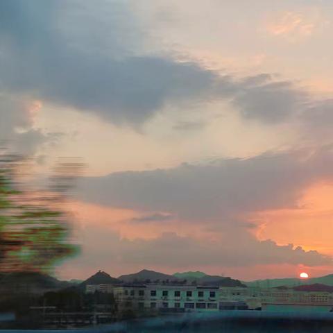 弦歌不辍，蓄力笃行——五一班年度总结