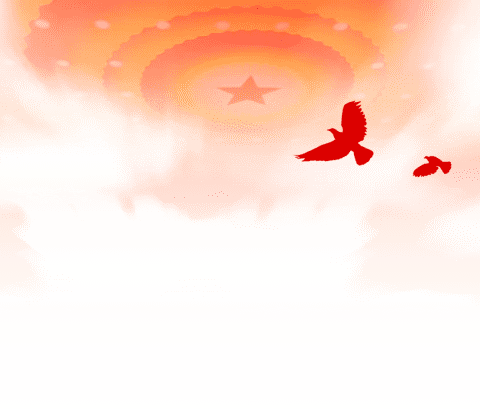 新技术 | 床旁徒手鼻空肠管置管术