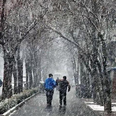 海北路小学冰雪天气安全出行贴士