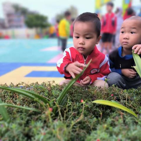 🌈 一起玩🐾一起笑🥰 一起闹🥳一起长大🎈 最美的童‍年时光