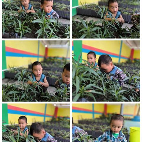 1班的宝贝们12月份生活点点滴滴——快乐学习，快乐成长！🎉🎉🎉