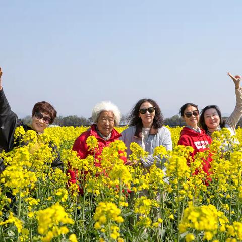 欢聚田野，共享春光