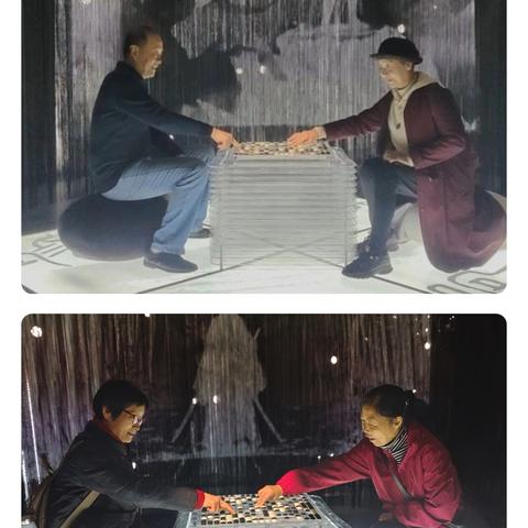 棋 园 寻 韵 纹 枰 寄 情