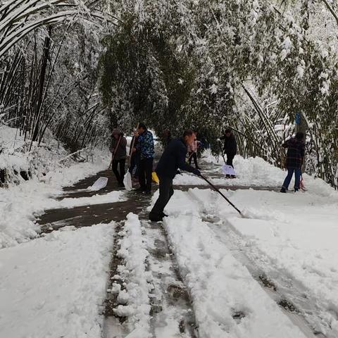 除冰除雪在行动 志愿服务暖人心