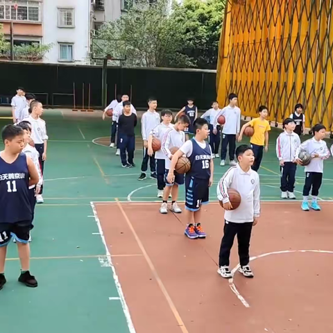 “阳光体育，强身健体，快乐篮排”——白天鹅京溪实验小学篮排球社团