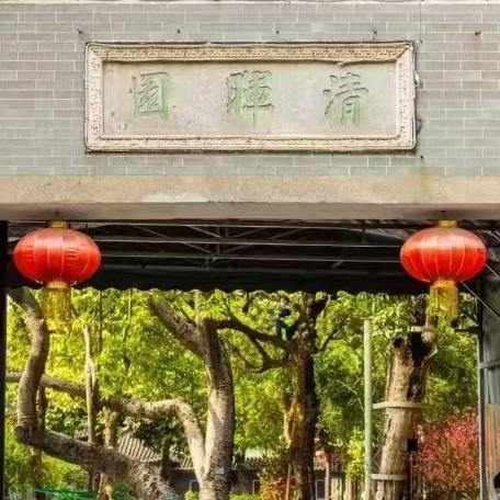 妙趣虫生读书会