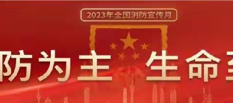 【智雅蓝庭物业中心】世雅物业2023年11月消防   宣传月