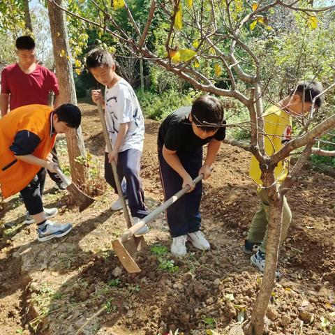 劳动砺心智，实践促成长——明港镇新集小学劳动实践课