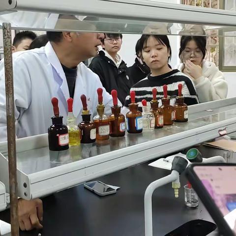 化学实验报告/酚的化学性质