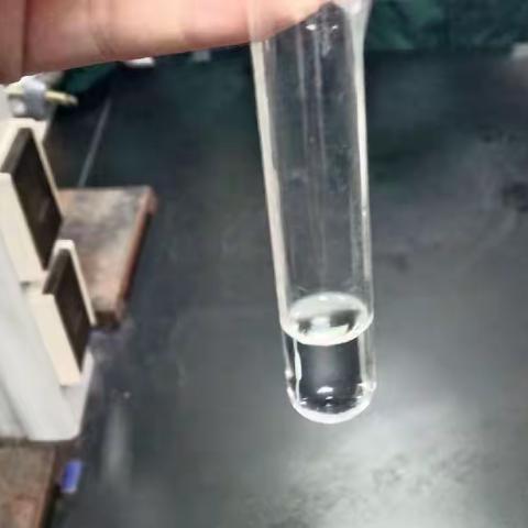 蛋白质的性质