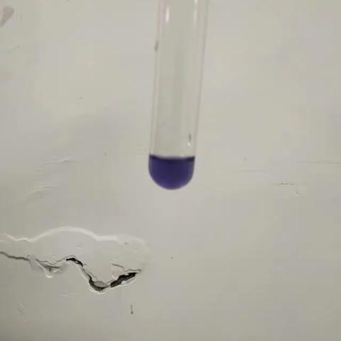 蛋白质的性质