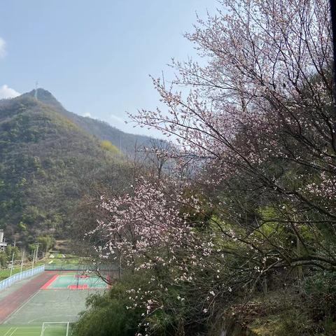 追风赶月莫停留，平芜尽处是春山——铜钱关初级中学第六周校园生活剪影