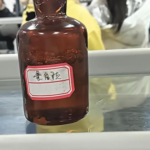 蛋白质