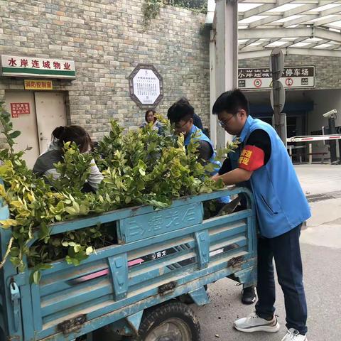 榆山街道锦东社区:补绿增绿，为创建全国文明城市贡献一份力量。