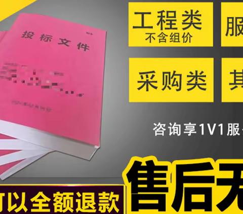 代写标书，需要我给你们提供什么材料？