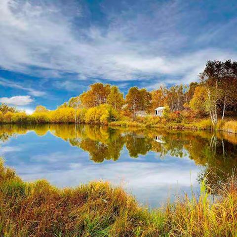 童心拾秋意，——米脂县南关小学五年级全体师生第三课堂活动纪实