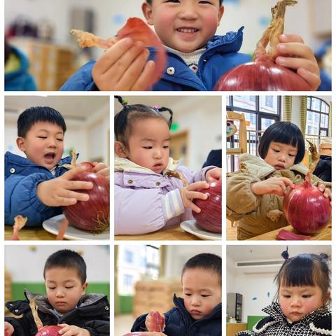 岁末年初，美好向新——保靖县铭诚幼幼托育中心十二月工作纪实