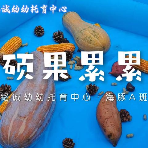 金秋十月·陪伴成长——保靖县铭诚幼幼托育中心十月份工作纪实