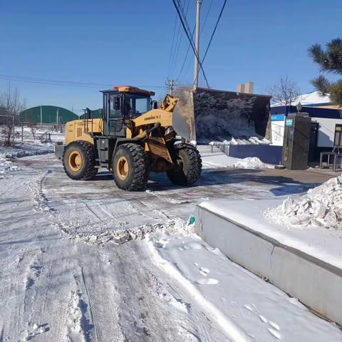 情暖万家铲冰除雪，心系学子护航复学