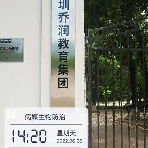 西丽街道病媒生物防制工作日报