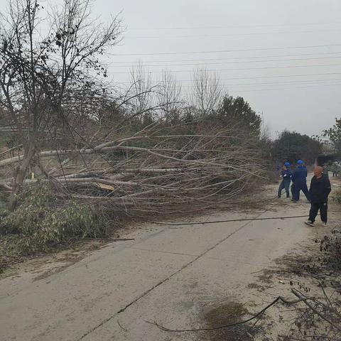 村中突然停电，老人独自在家，网格员帮解决