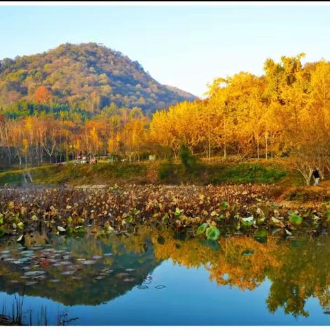 “教”学路漫漫，“研”途皆风景