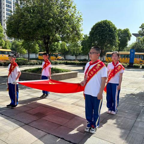 春走夏至，五月花开—雏鹰中队班级总结