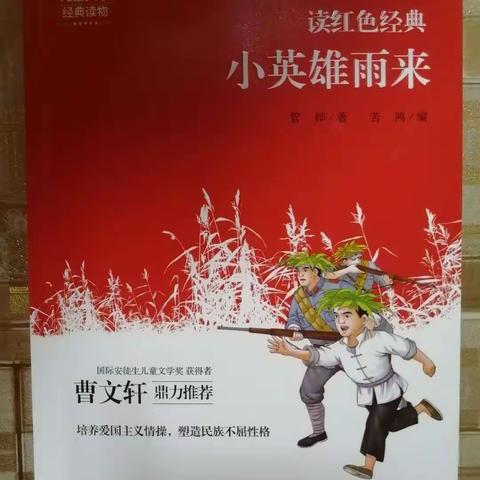 【浩瀚书海】有志不在年高——郾城区实验小学 六十二班 全班同学带你认识小英雄雨来