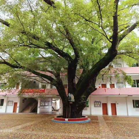 变观念 研教材 课堂焕新颜一一记于都城关小学四年级盲盒教研活动