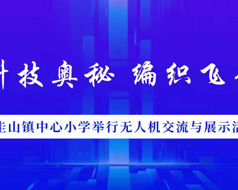 圭山镇中心学校与板桥镇中心学校举行无人机交流与展示活动