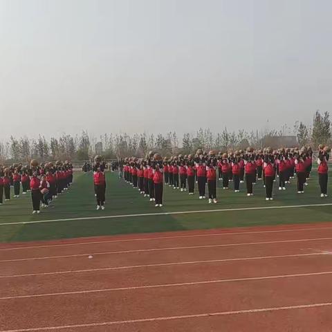 校园集体活动的活力与风采