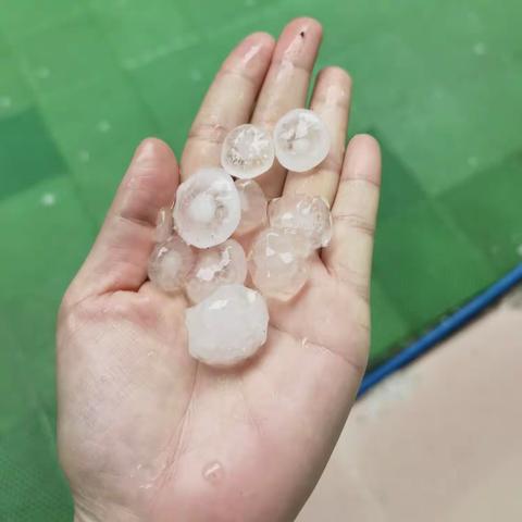 你看见冰雹了吗？—协和幼儿园环市西苑小二班