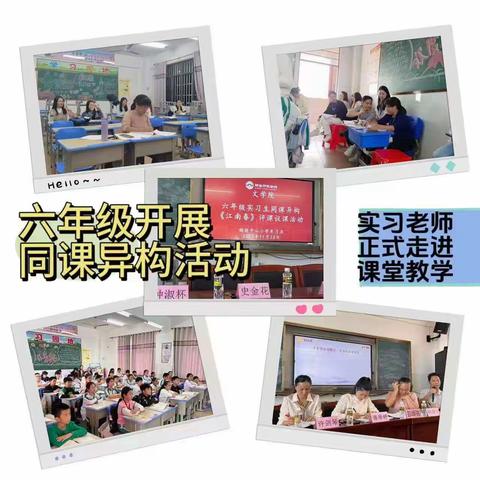 实习满诗意，教研谱新篇——琼台师范学院铺前中心小学实习队第三周实习周记